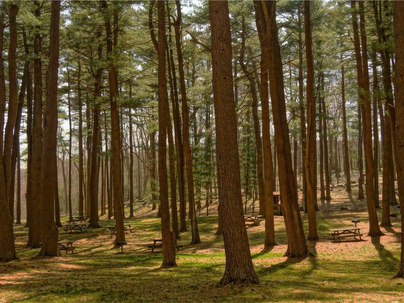 sudoku progress save