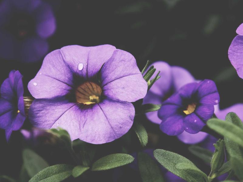 sudoku progress save screenshot 2