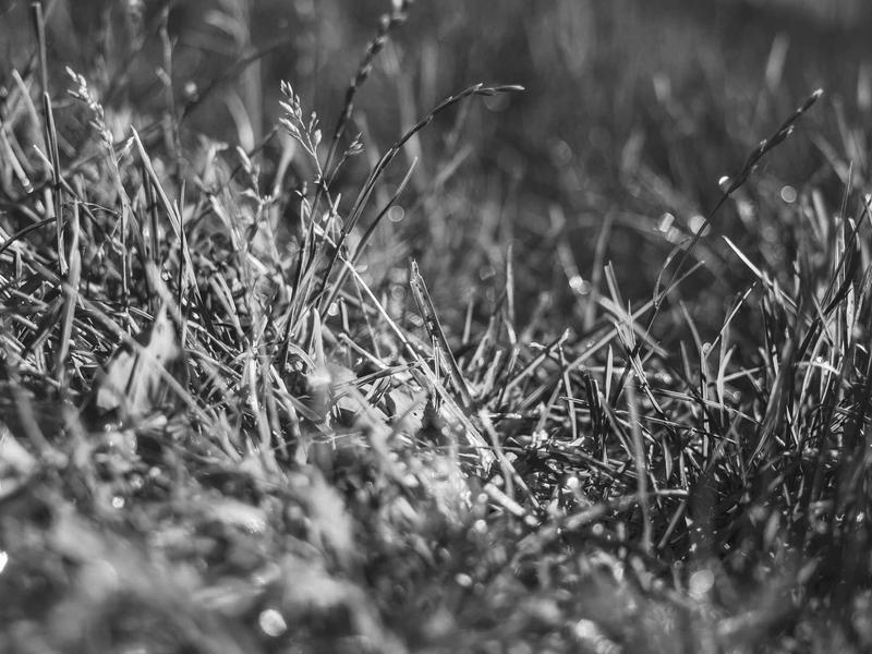 sudoku progress save screenshot 5